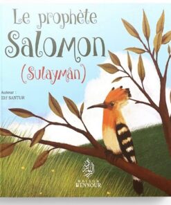 Le Prophète Salomon (Souleyman)